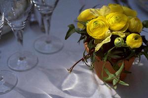 質が良い結婚指輪が仙台で買える店