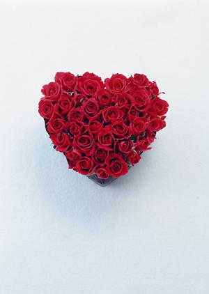 プロポーズに必要なアイテムを探すなら